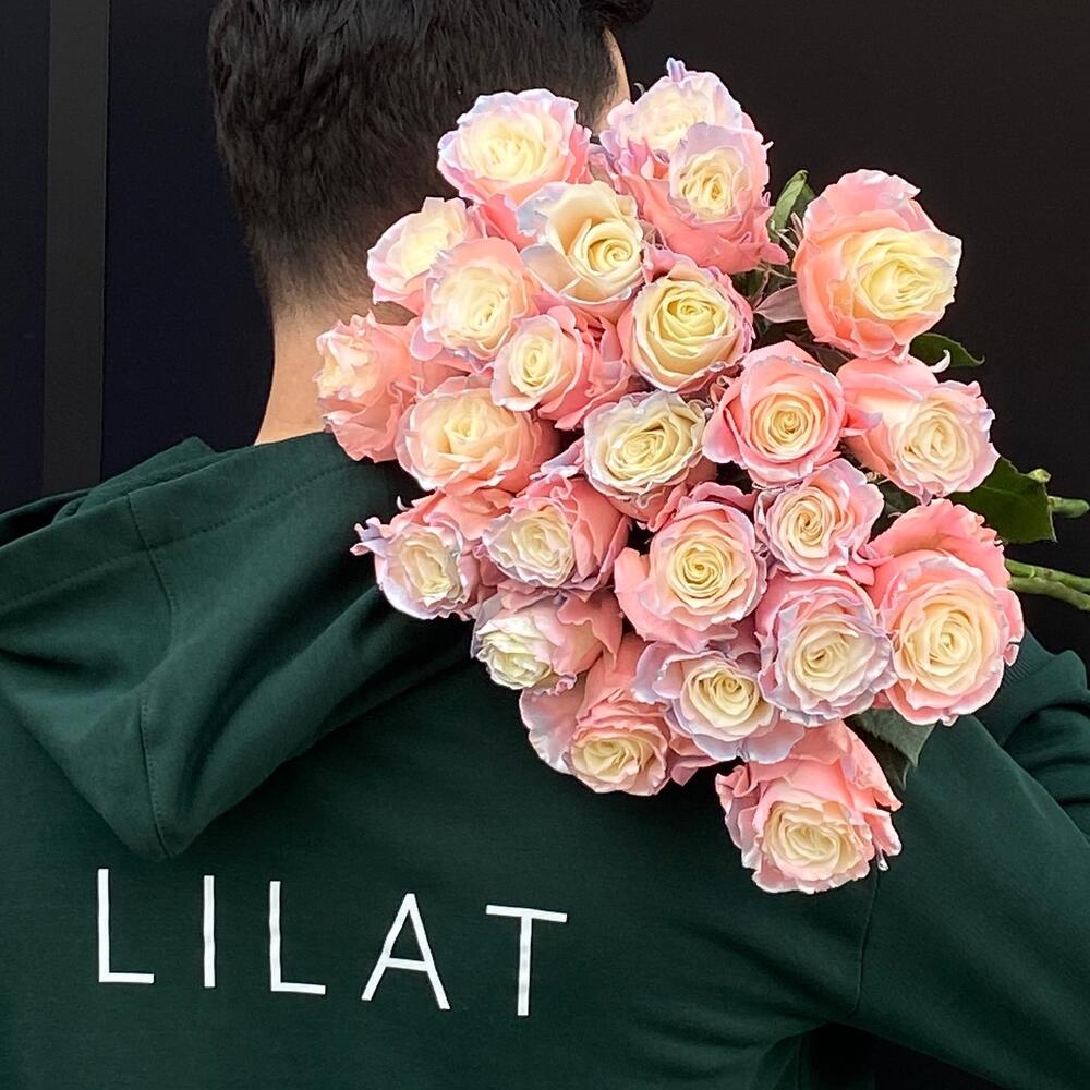 Color Rose   Lilat